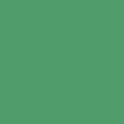 背景紙 1.35×11m アップルグリーン CL 164-564