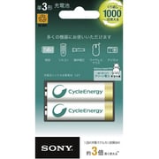 ニッケル水素充電池 単3形(2100mAh)2本パック NH-AA-2BKB