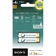 ニッケル水素充電池 単4形(800mAh)2本パック NH-AAA-2BKB