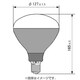 白熱電球 写真用レフランプ E26口金 500W形 昼光（デイライト）用 PRS-500WBD