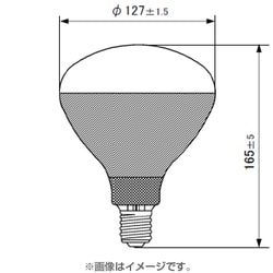 白熱電球 耐振電球 E26口金 110V 20W形 55mm径 クリア RC110V20WCD