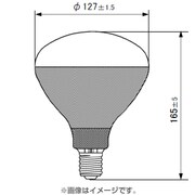 白熱電球 耐振電球 E26口金 110V 40W形 55mm径 クリア RC110V40WCD