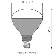 白熱電球 耐振電球 E26口金 110V 200W形 80mm径 RC110V200WCD