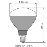 白熱電球 耐振電球 E26口金 220V 20W形 55mm径 RC220V20WCD