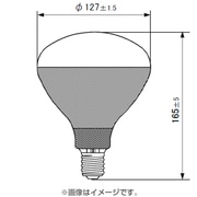 白熱電球 耐振電球 E26口金 220V 200W形 80mm径 RC220V200WCD