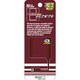 DSi/DSiLL用 mini ACアダプタ ワインレッド [DSi/DSiLL用]