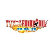 TVアニメフェアリーテイル 激闘！魔導士決戦 [DSソフト]