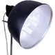 定常光照明 Beglight tk-9n 東芝ネオボールZ EFD21EN 9個付き TS-556-B