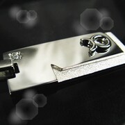 Star link with Taurus（おうし座） 星座ペンダント WHITE Label P4287-W
