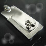 Star link with Leo(しし座) 星座ペンダント WHITE Label P4290-W