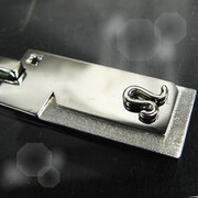 Star link with Leo（しし座） 星座ペンダント BLACK Label P4290-B