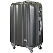 旅行日数目安:2~3泊 32L TSAロック搭載 機内持ち込み可 シルバー SP-0603-50