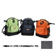 高尾山 グレー デジタルカメラザック