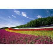 RS-13-279 [ジグソーパズル 富良野の花畑 1000ピース]