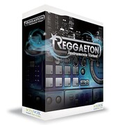REGGAETON INSTRUMENTO VIRTUAL（レゲトン・インストゥルメント・バーチャル） [ソフトウエア レゲトン専用音源]