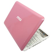 U135DXシリーズ 10型ワイド液晶/HDD160GB ピンク U135N4-DXPK