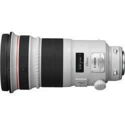 ★希少品★ キヤノン CANON EF 300mm F2.8 L USM ☆希少品☆ キヤノン CANON EF 300mm F2.8 L USM CANON EF300mm