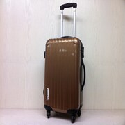 TSA搭載 ハードキャリーケース 57cm ゴールド 36925-014