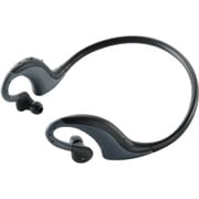 LBT-AVNB01ABK [Bluetooth 2.1+EDR対応 マイク搭載 ネックバンド型ヘッドホン ブラック]
