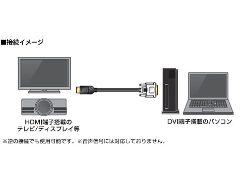 HDMI-DVI Converter cable - DH-HTD10BK