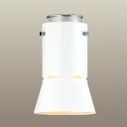 TZG-1557 [電球型小型シーリング15W]