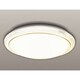 シーリング照明（8-10畳） 電球色 リモコン付 TXG-8904