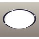 シーリング照明（8-10畳） 昼光色 リモコン付 TXG-8903
