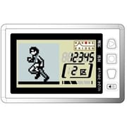 箱根駅伝を歩こう(白) [歩数計]