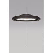 LifeEホタルックスリムD 洋風ペンダント カフェタイム 8-10畳 86W 9CK775-HSG
