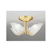 照明器具 OC006456L
