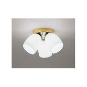 照明器具 OC006597L