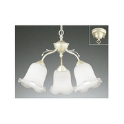 照明器具 OC006871L