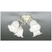 照明器具 OC006874L