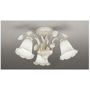 照明器具 OC006885L