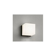 蛍光灯 人感センサポーチライト 15W 電球色 OG041646LP