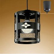 シーリングライト金網型 電球形蛍光灯 15W　電球色 OP035414L