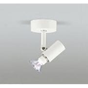 スポットライト(ハロゲン球75W) フレンジタイプ ランプ別売 OS047311