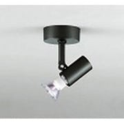 スポットライト(ハロゲン球75W) フレンジタイプ ランプ別売 OS047312