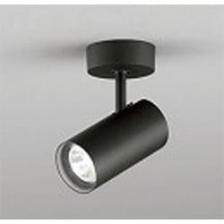 スポットライト(ハロゲン球75W) フレンジタイプ ランプ別売 OS047392