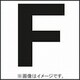 階段通路誘導灯用パネル　（F） P113