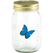 チョウチョウ(ブルーモルフォ)