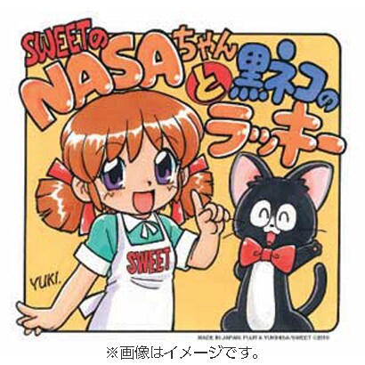 NASAちゃんと黒ネコのラッキー [フィギュア]