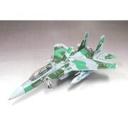 AC15 F-15DJ 飛行教導隊（新田原）