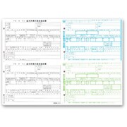 平成22年度版源泉徴収票 A4 単票 100枚 AC2522S