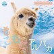 もこもこアルパカ [2011年カレンダー]