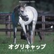 「オグリキャップ」レジェンド [2011年カレンダー]