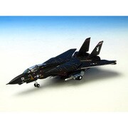 6573 F-14A VX-4 ブラックバニー [航空機模型]