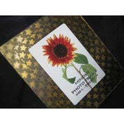 MINO 3D Photo Frame スター/ゴールド PF-007