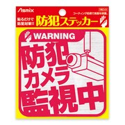 BS110 [防犯ステッカー防犯カメラ監視中]
