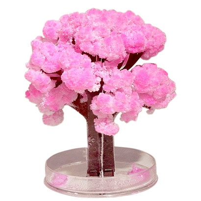 TR-S1A マジック桜